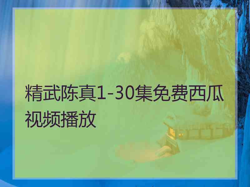 精武陈真1-30集免费西瓜视频播放