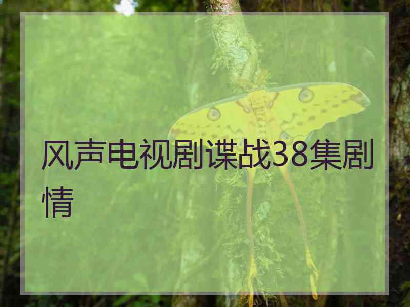 风声电视剧谍战38集剧情