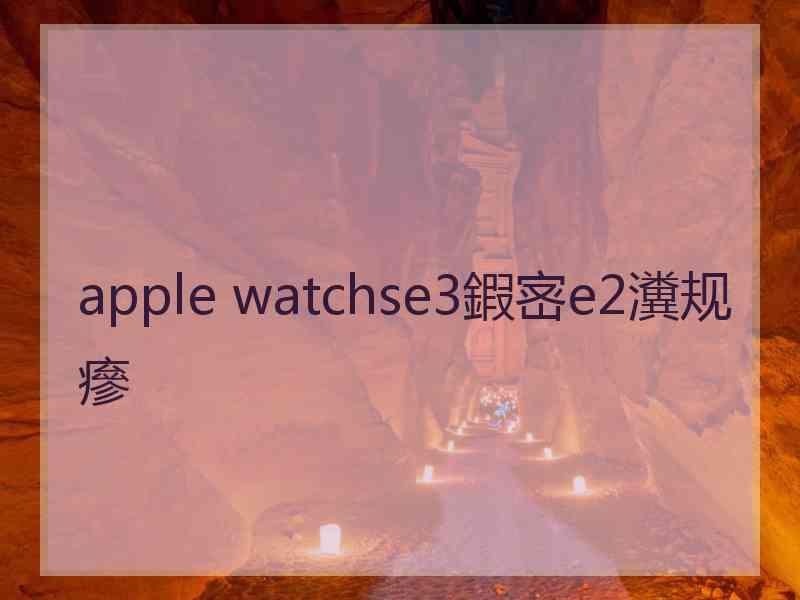 apple watchse3鍜宻e2瀵规瘮