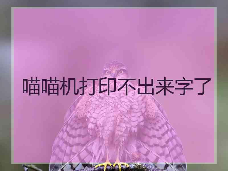 喵喵机打印不出来字了