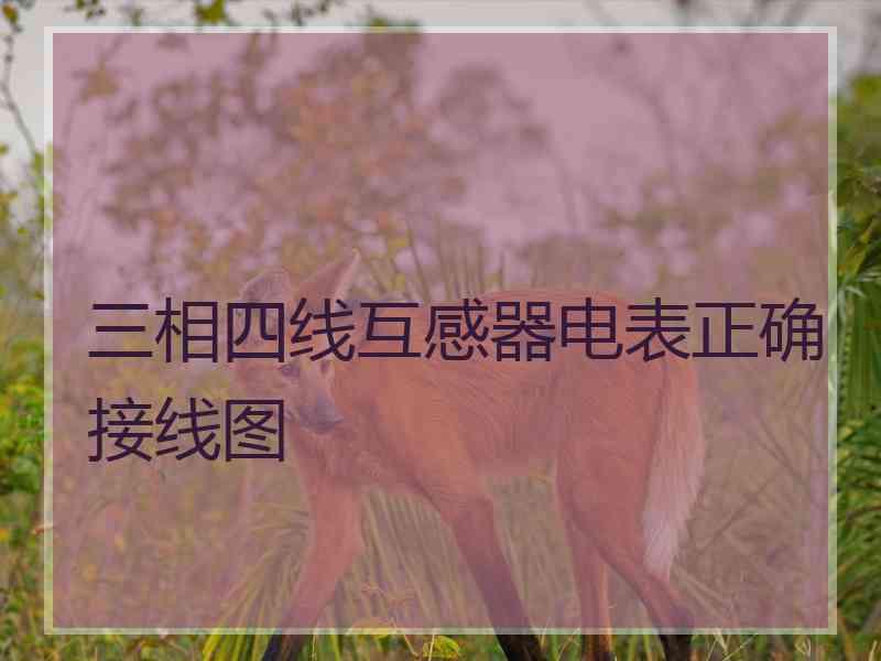 三相四线互感器电表正确接线图