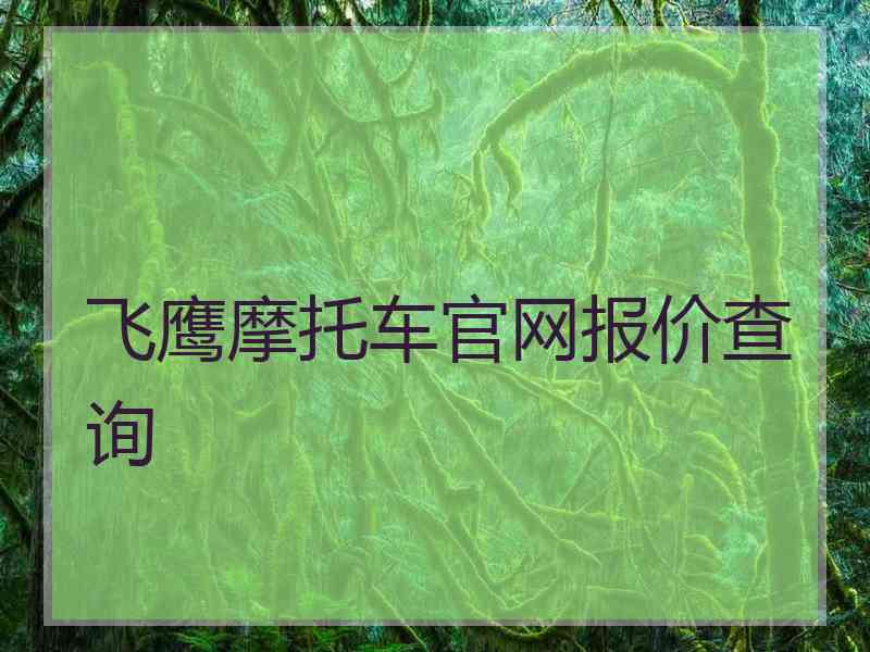 飞鹰摩托车官网报价查询