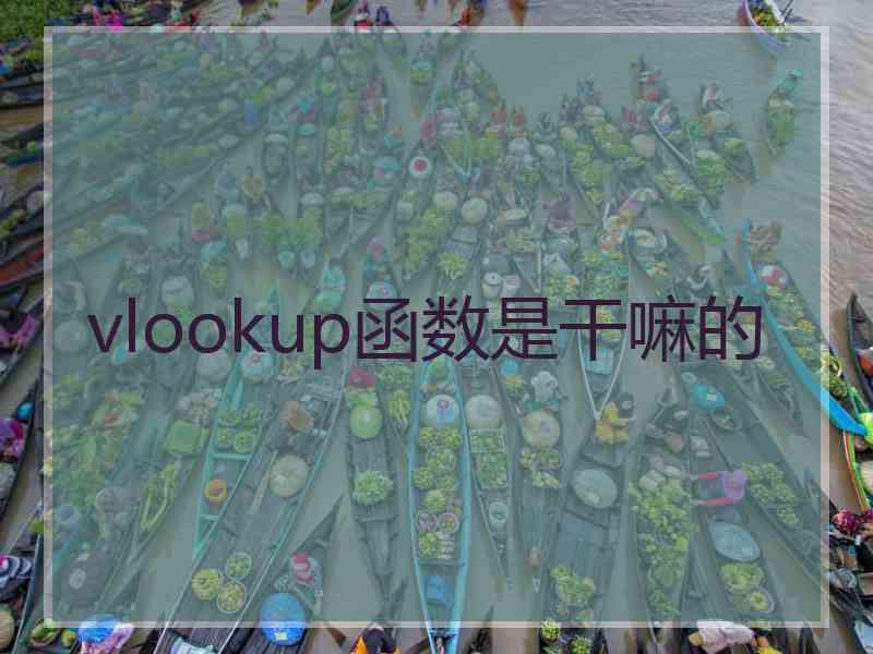 vlookup函数是干嘛的