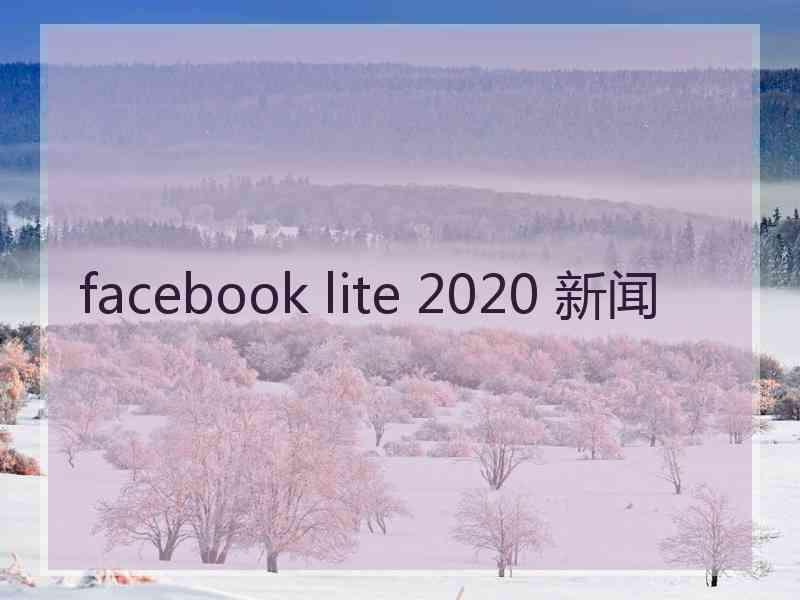 facebook lite 2020 新闻