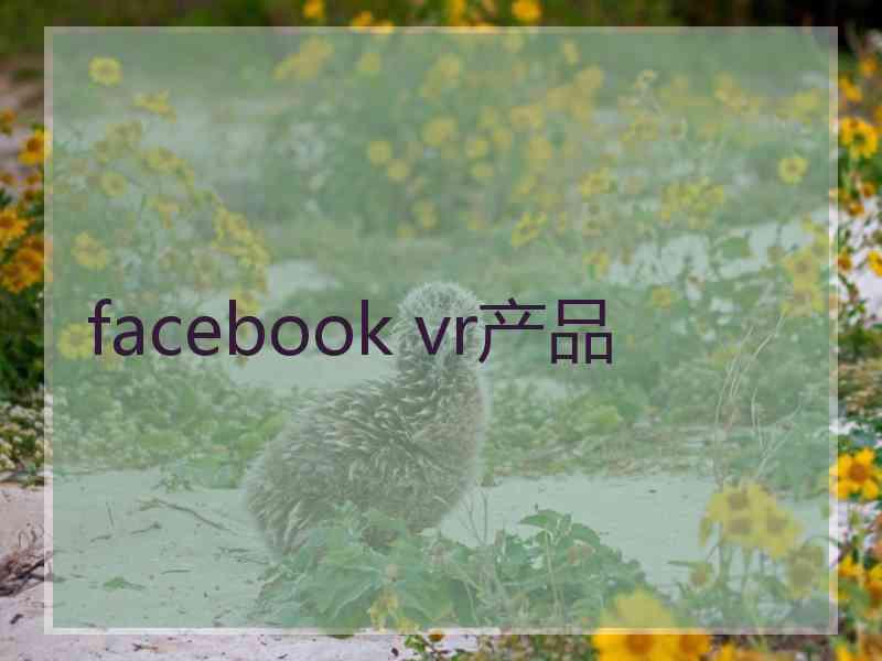 facebook vr产品