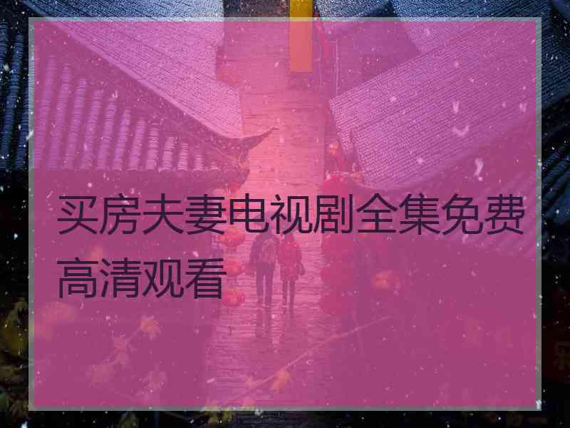 买房夫妻电视剧全集免费高清观看