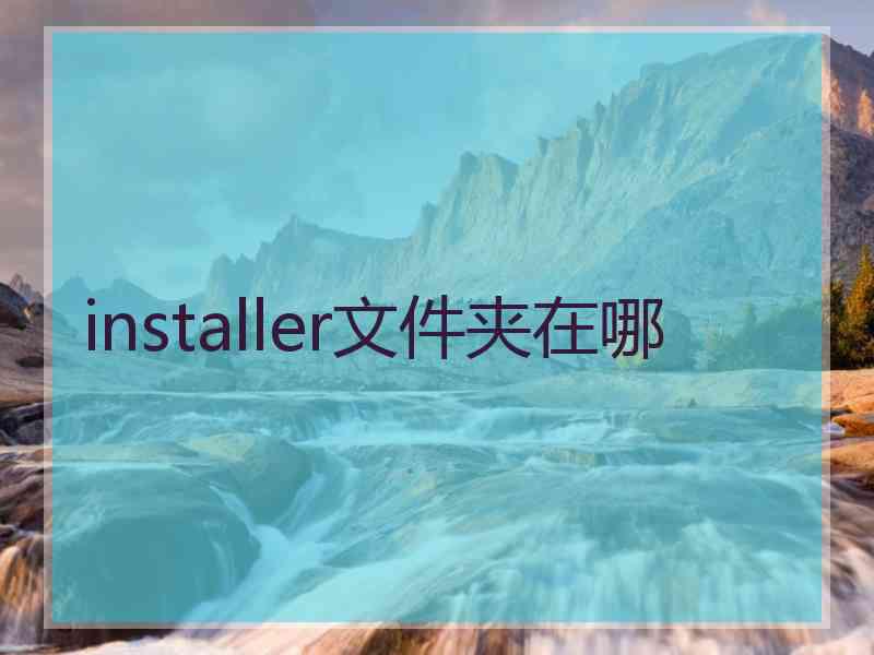 installer文件夹在哪