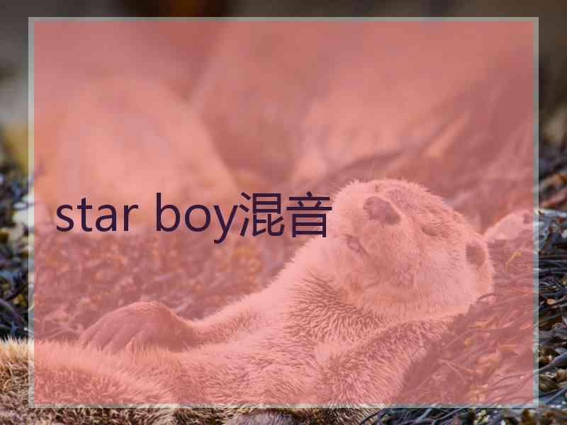 star boy混音