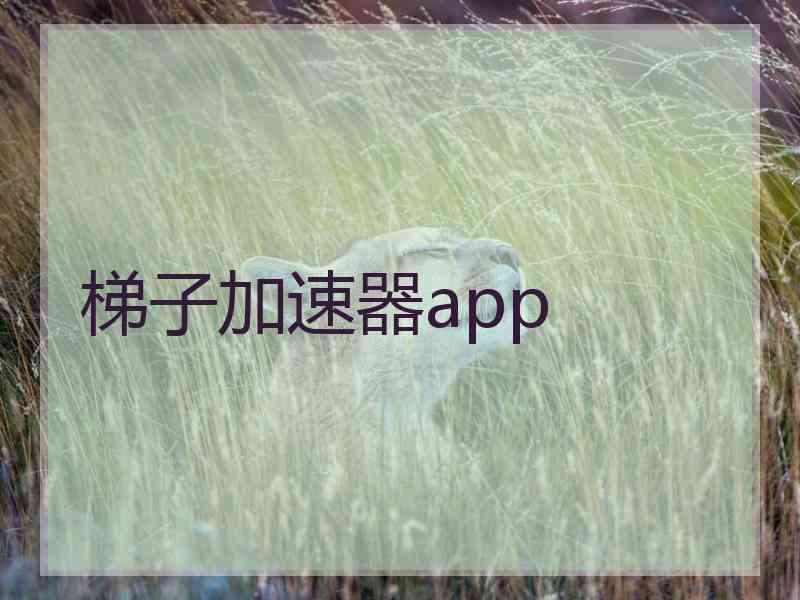 梯子加速器app