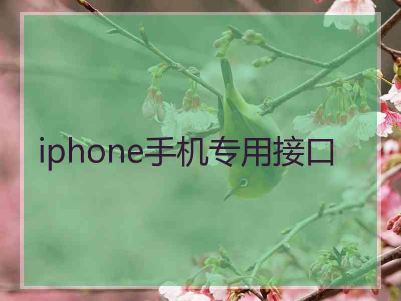 iphone手机专用接口