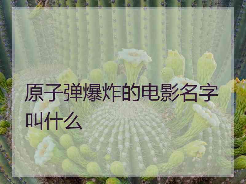 原子弹爆炸的电影名字叫什么