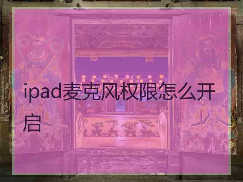 ipad麦克风权限怎么开启