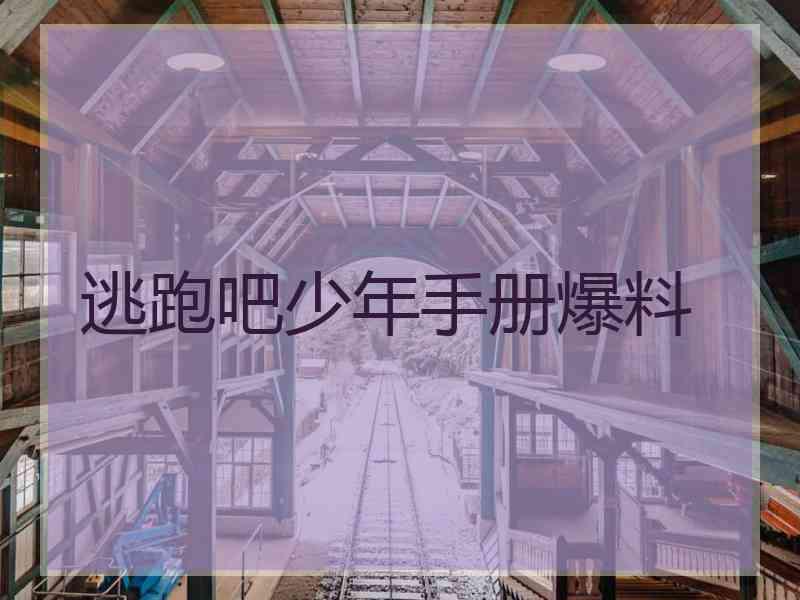 逃跑吧少年手册爆料