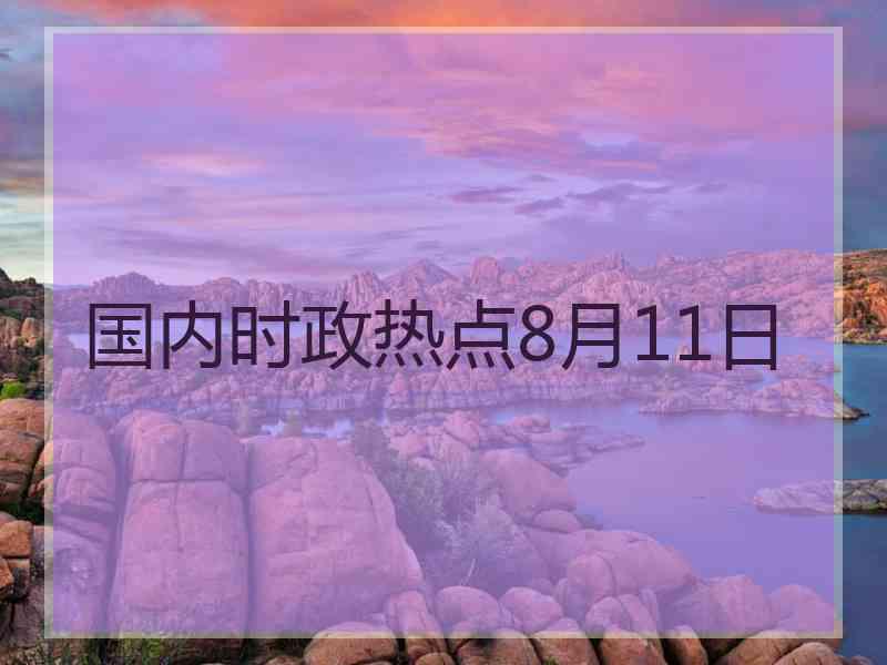 国内时政热点8月11日