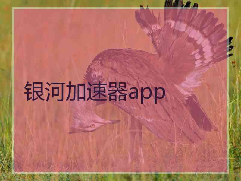 银河加速器app