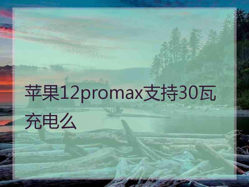 苹果12promax支持30瓦充电么