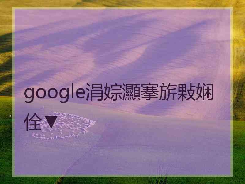 google涓婃灦搴旂敤娴佺▼