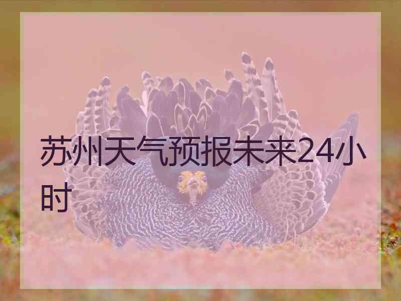 苏州天气预报未来24小时