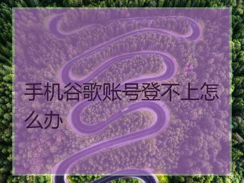 手机谷歌账号登不上怎么办