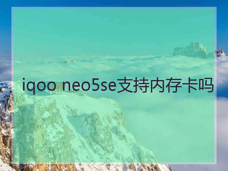 iqoo neo5se支持内存卡吗