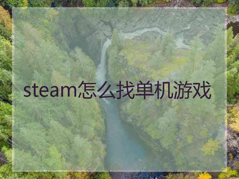 steam怎么找单机游戏