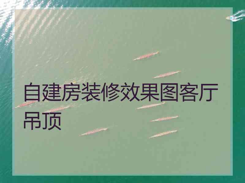 自建房装修效果图客厅吊顶