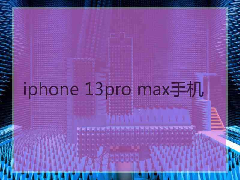 iphone 13pro max手机