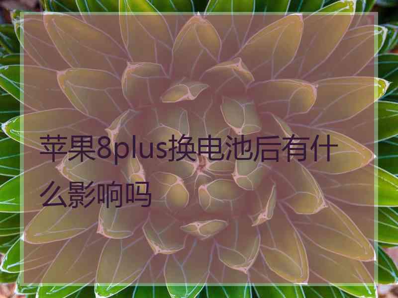 苹果8plus换电池后有什么影响吗