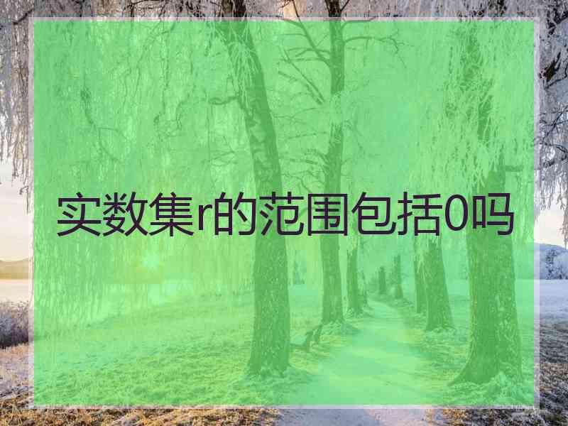 实数集r的范围包括0吗