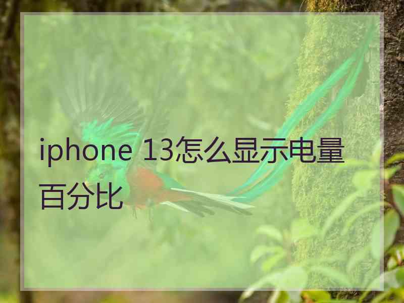 iphone 13怎么显示电量百分比