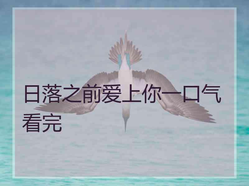 日落之前爱上你一口气看完