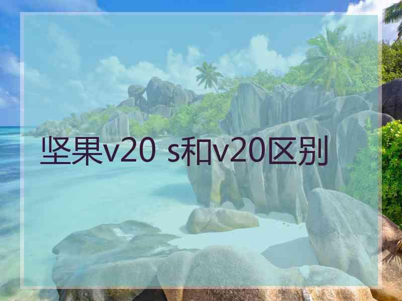 坚果v20 s和v20区别