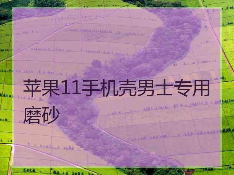 苹果11手机壳男士专用磨砂