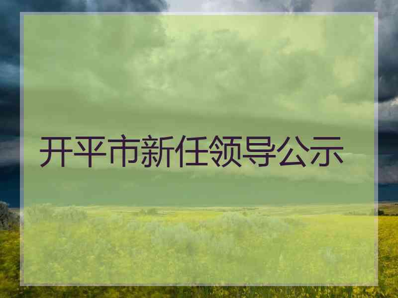 开平市新任领导公示