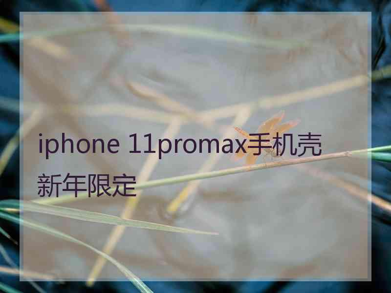 iphone 11promax手机壳新年限定