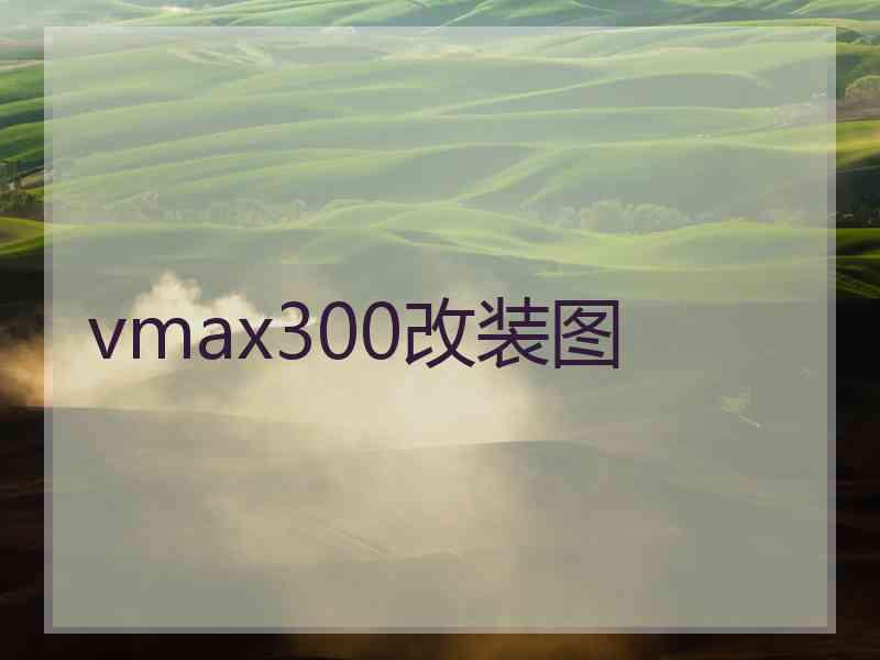 vmax300改装图