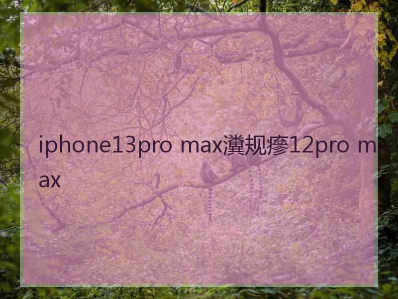 iphone13pro max瀵规瘮12pro max