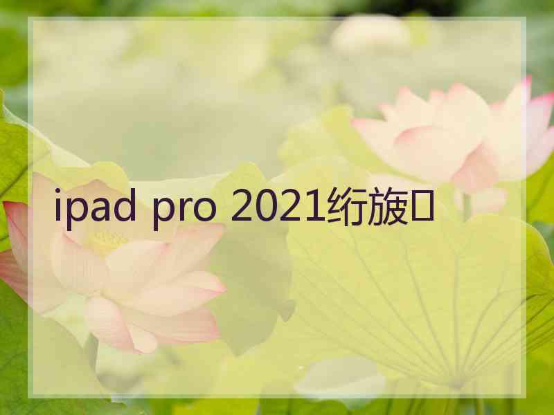 ipad pro 2021绗旇