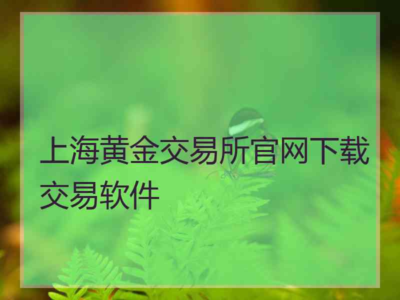 上海黄金交易所官网下载交易软件
