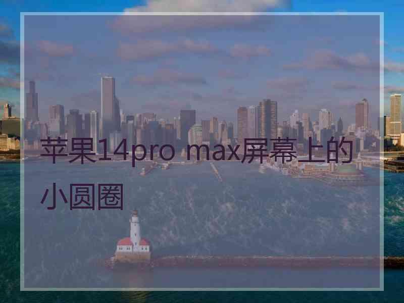 苹果14pro max屏幕上的小圆圈