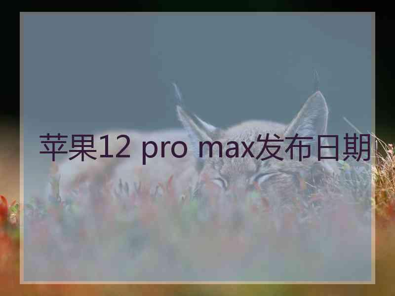 苹果12 pro max发布日期