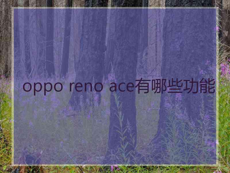 oppo reno ace有哪些功能