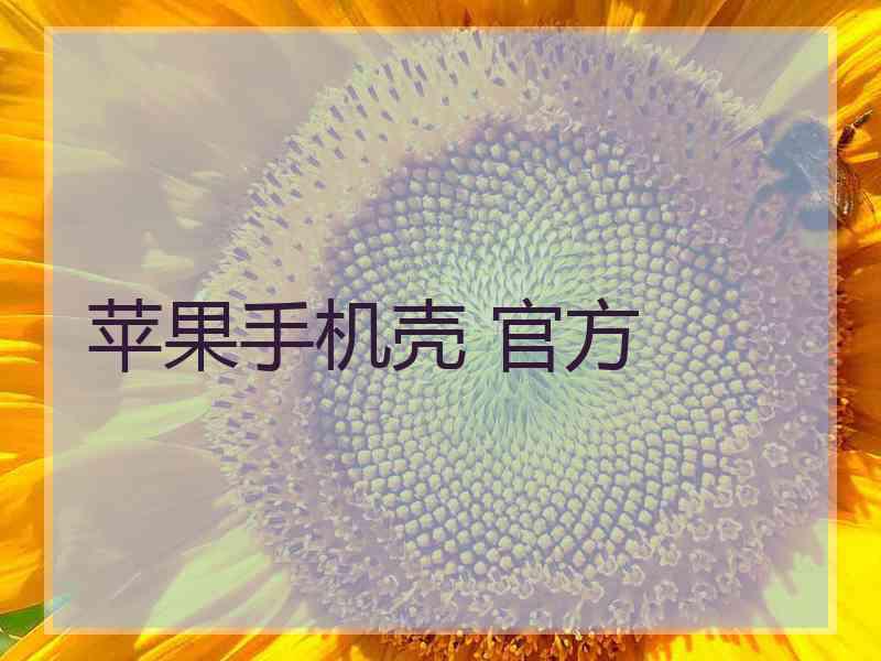 苹果手机壳 官方