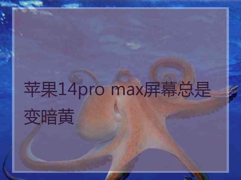 苹果14pro max屏幕总是变暗黄