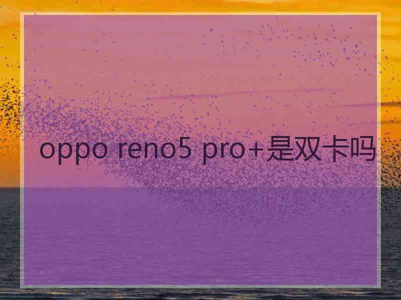 oppo reno5 pro+是双卡吗