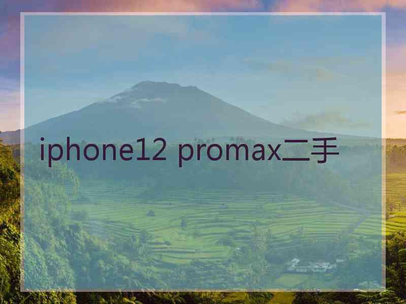 iphone12 promax二手