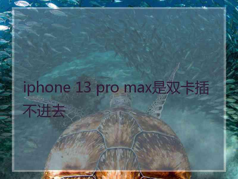 iphone 13 pro max是双卡插不进去