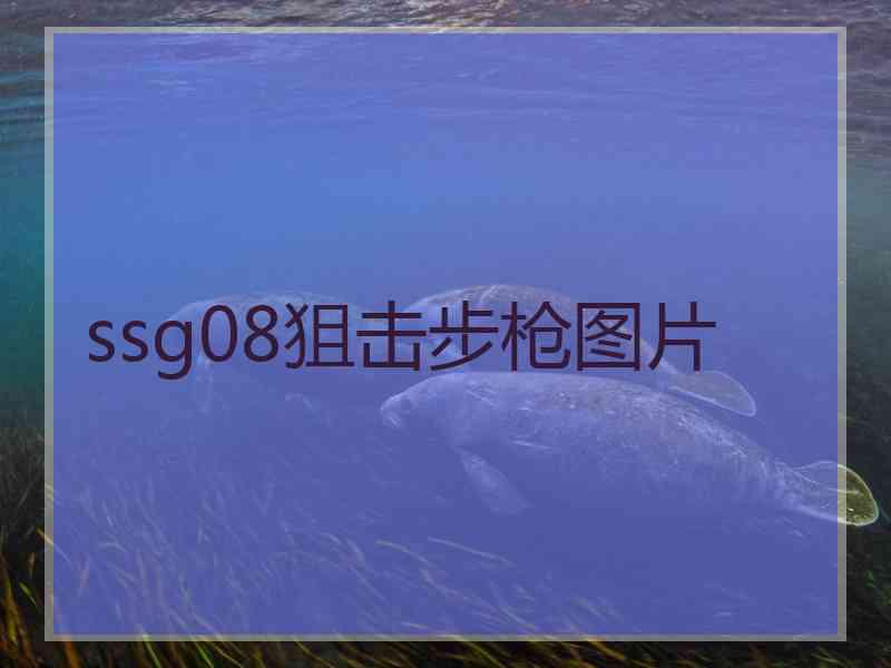 ssg08狙击步枪图片