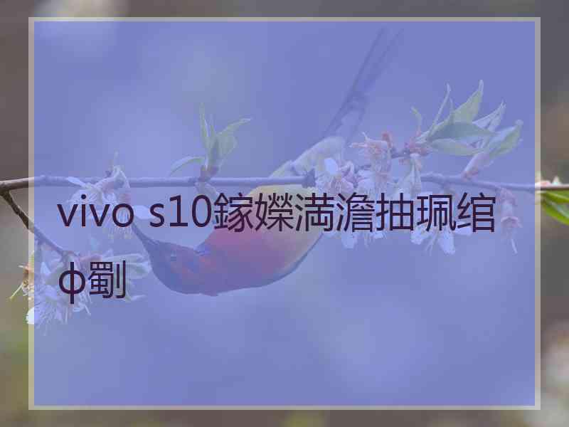 vivo s10鎵嬫満澹抽珮绾ф劅