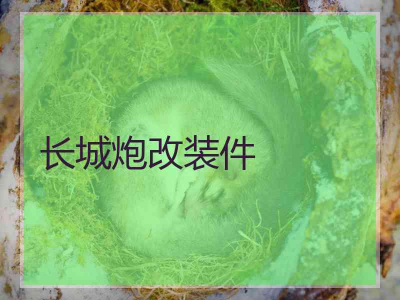 长城炮改装件